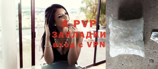 твердый Балахна