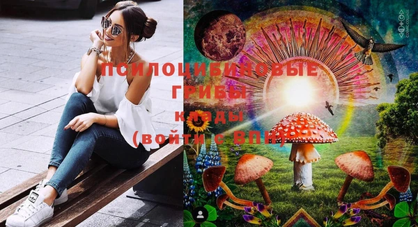 твердый Балахна